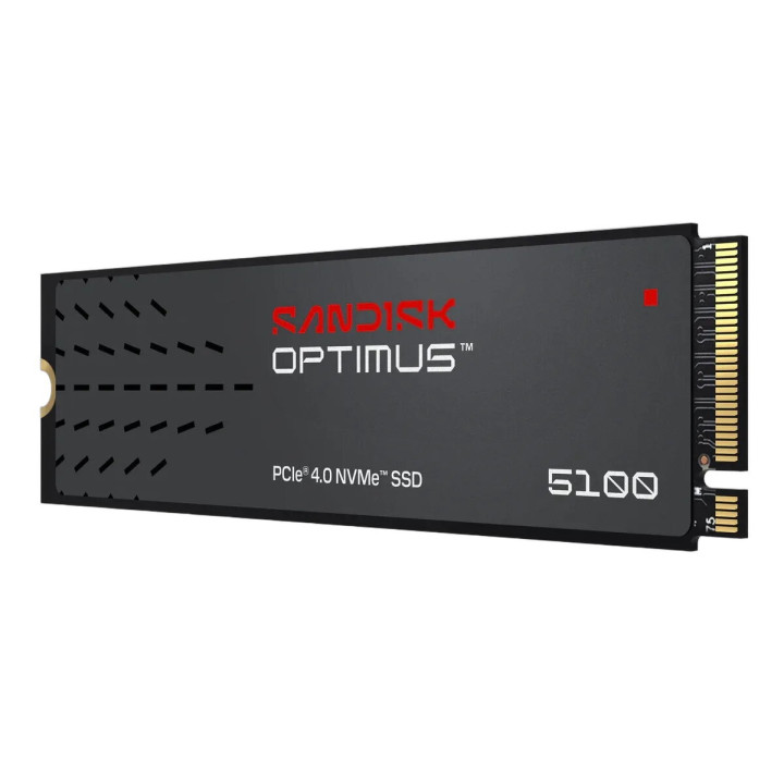 Sandisk 4TO M.2 NVME - OPTIMUS 510