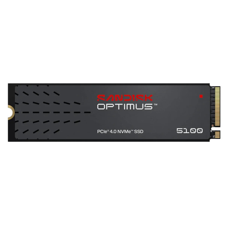 Sandisk 4TO M.2 NVME - OPTIMUS 510