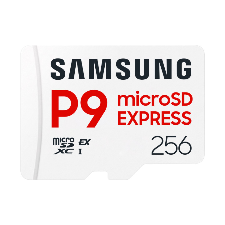 SAMSUNG CARTE MICROSD P9 EXPRESS 256 GO
