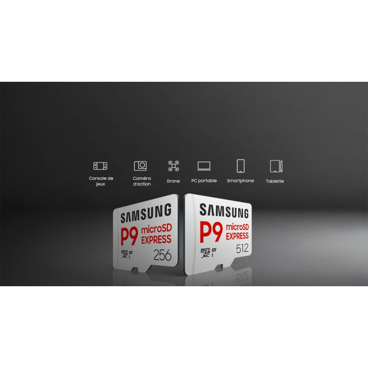 SAMSUNG CARTE MICROSD P9 EXPRESS 256 GO